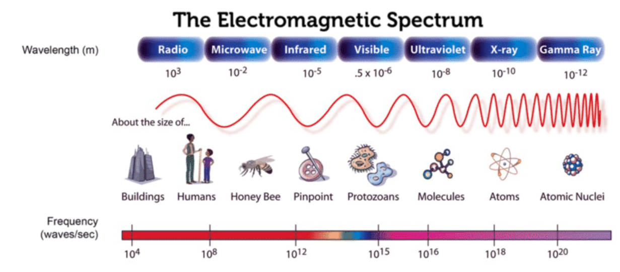 <p>Red</p><p>Radio waves- metres 10<sup>2</sup></p><p>Microwaves- centimetres 10<sup>-2</sup></p><p>Infrared- millimetres/micrometres 10<sup>-4</sup></p><p>Visible- 400-800 nanometres 10<sup>-7</sup></p><p>Ultraviolet- nanometres 10<sup>-8</sup></p><p>X-Ray- 10<sup>-10</sup></p><p>Gamma Ray- 10<sup>-12 or -14</sup></p><p>Violet</p>
