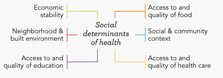 <p><strong>Social & Community Context</strong> – relationships, social support, community engagement.</p><p><strong>Neighborhood & Built Environment</strong> – housing, safety, transportation, green spaces.</p><p><strong>Health & Healthcare</strong> – access to care, insurance, provider availability.</p><p><strong>Economic Stability</strong> – income, employment, poverty level.</p><p><strong>Food & Nutrition</strong> – access to healthy food, food security.</p><p><strong>Education</strong> – literacy, language, educational attainment.</p><p></p>
