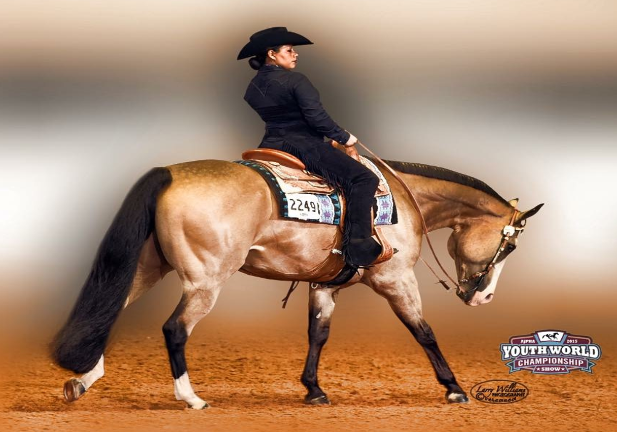 <p>What Gait is this horse performing (Western Tack)?</p>