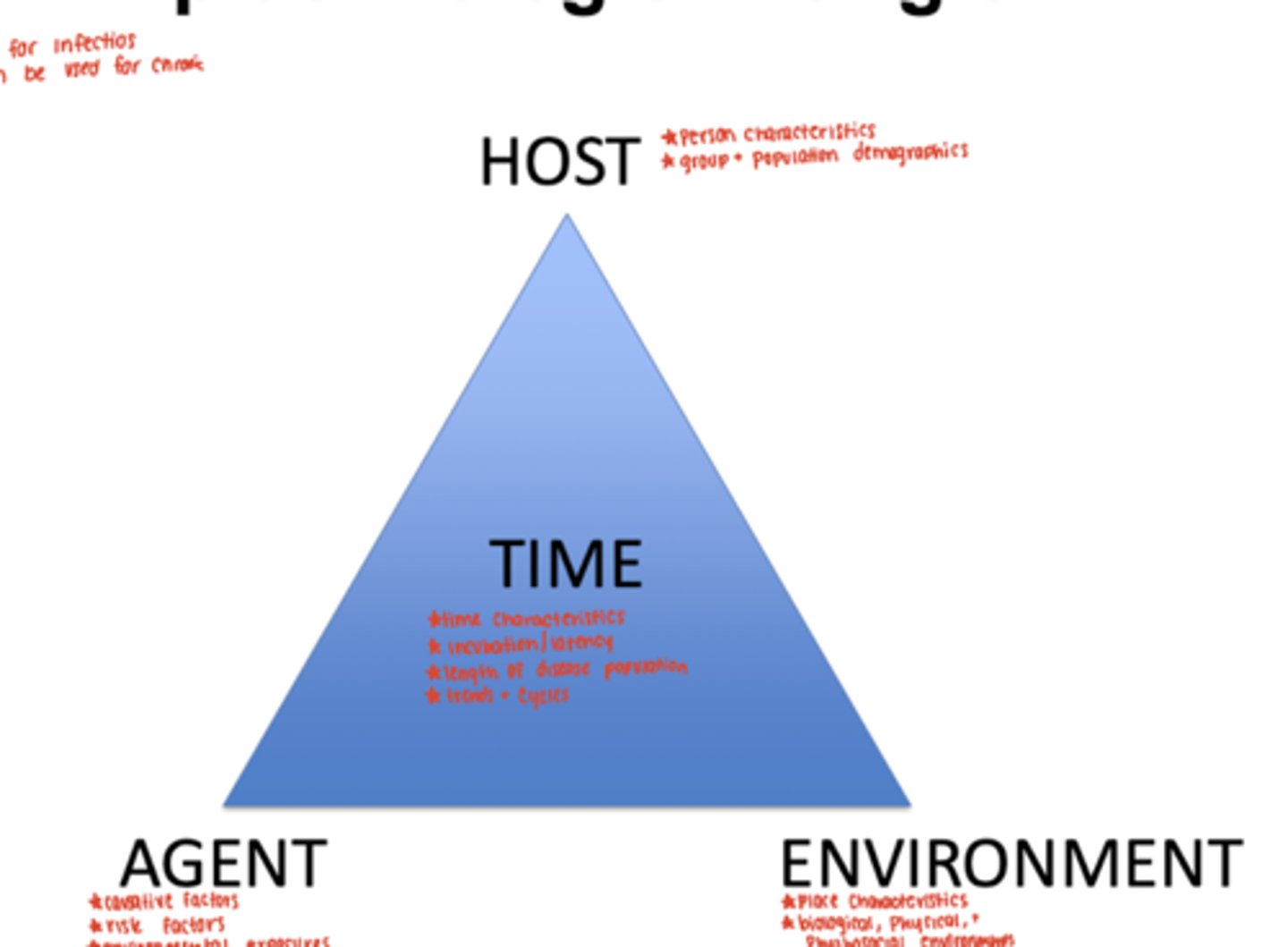 <p>agent</p><p>- Causative factors</p><p>- risk factors</p><p>- environmental factors</p><p>host</p><p>- person characteristics</p><p>- group + population demographics</p><p>environment</p><p>- place characteristics</p><p>- biological, physical, + psychological environment </p><p>time</p><p>- time characteristics</p><p>- incubation/latency</p><p>- length of disease</p><p>- trends and cycles</p>