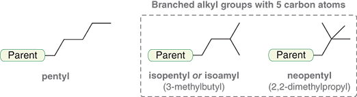 <ol><li><p>Pentyl</p></li><li><p>Isopentyl</p></li><li><p>Neopentyl</p></li></ol><p></p>