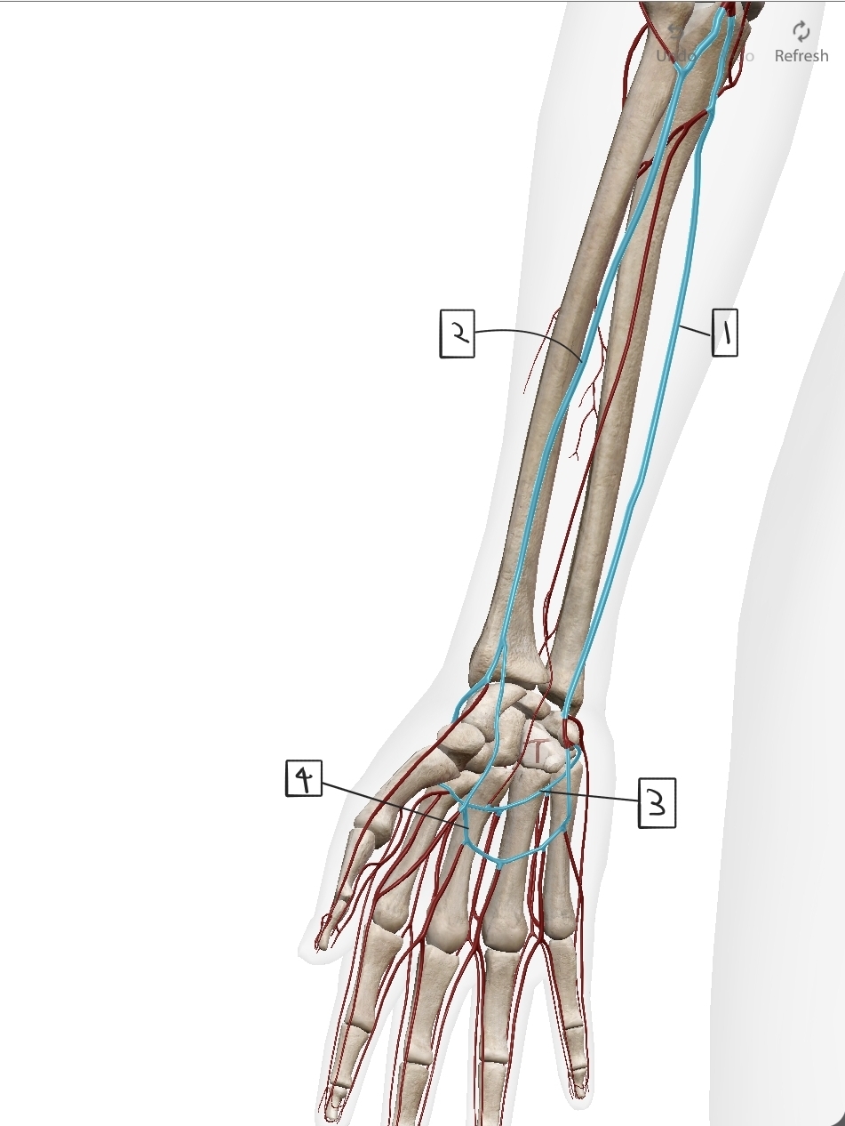 <p>What are these?</p>