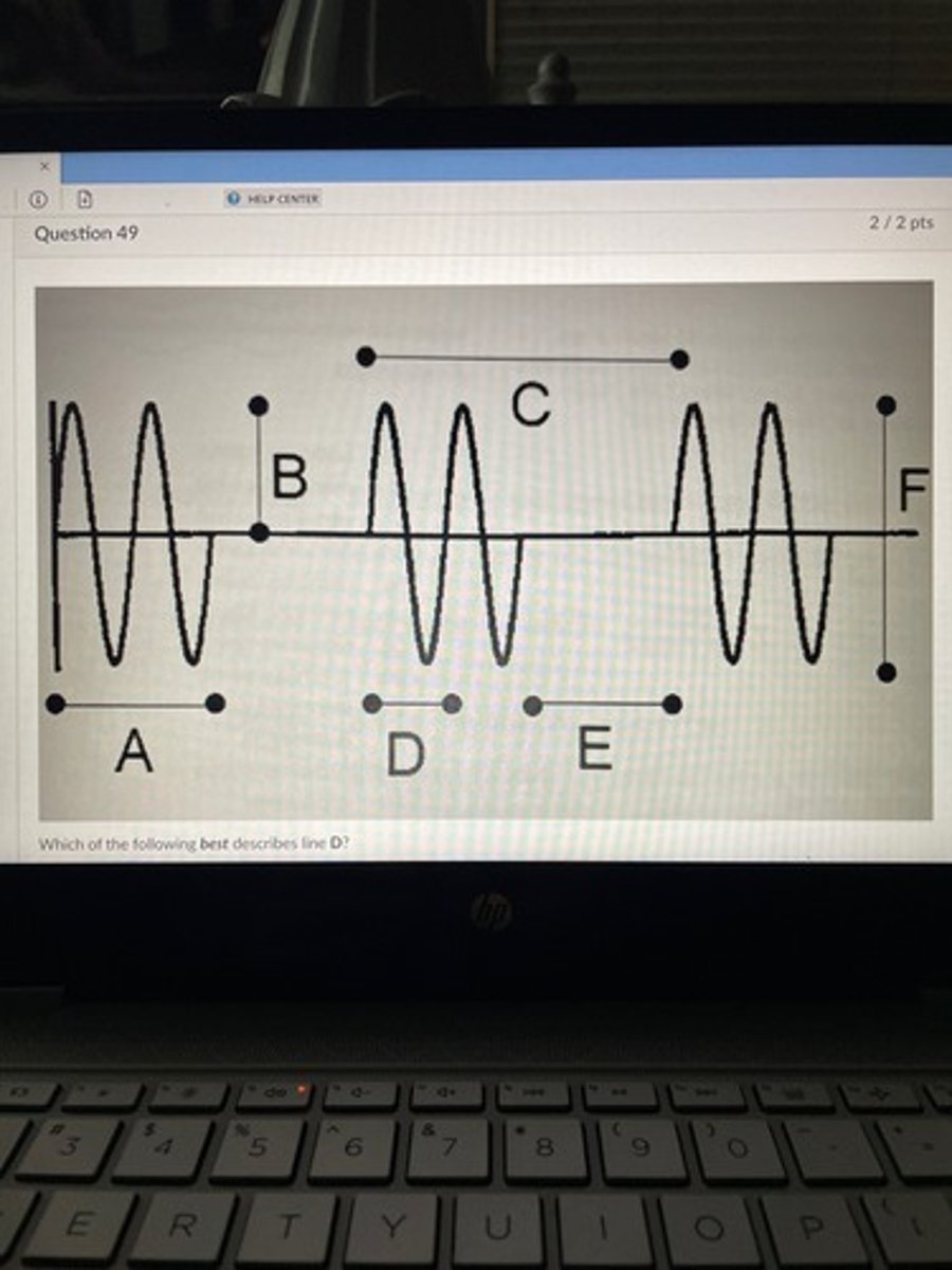 <p>Which of the following best describes line D?</p>