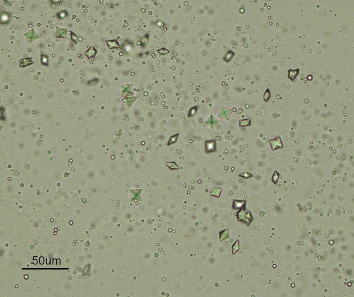 Identify this crystal.