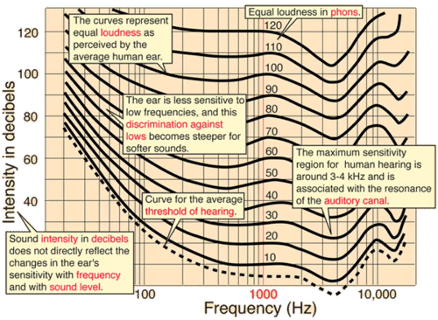 <p>Nope!</p><p>Equal-loudness contours</p><p>-the curves represent equal loudness as generally perceived by human ear and this changes across frequency</p><p>-this means listening to music at low sound levels base can fall away whereas stronger at high levels</p>