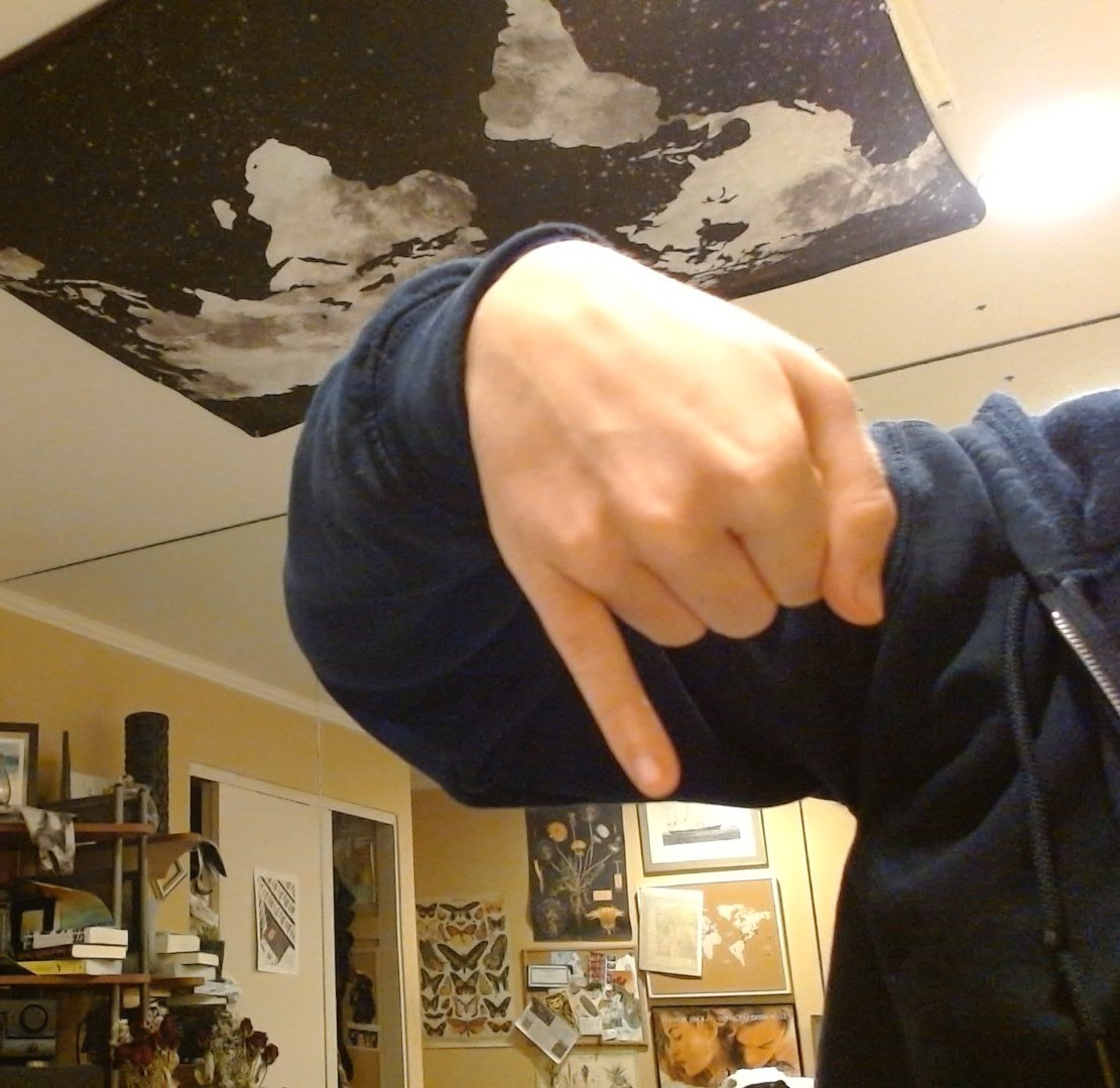 What does this sign mean? (pinky out, wrist down)