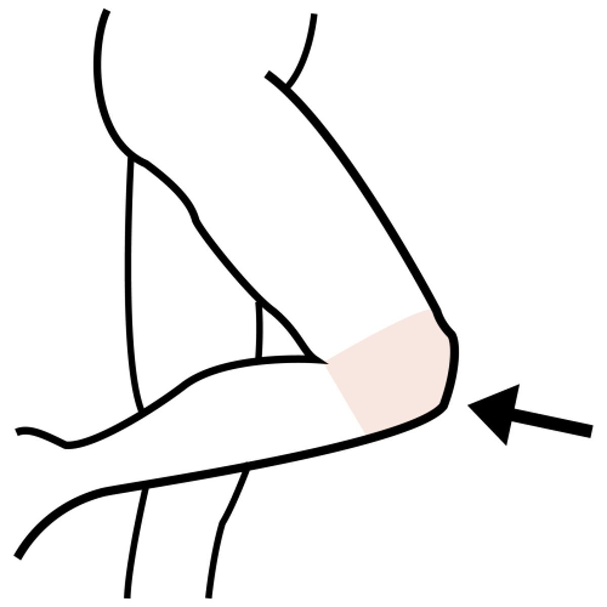 <p>knee</p>