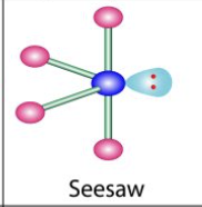 <p>Seesaw </p>