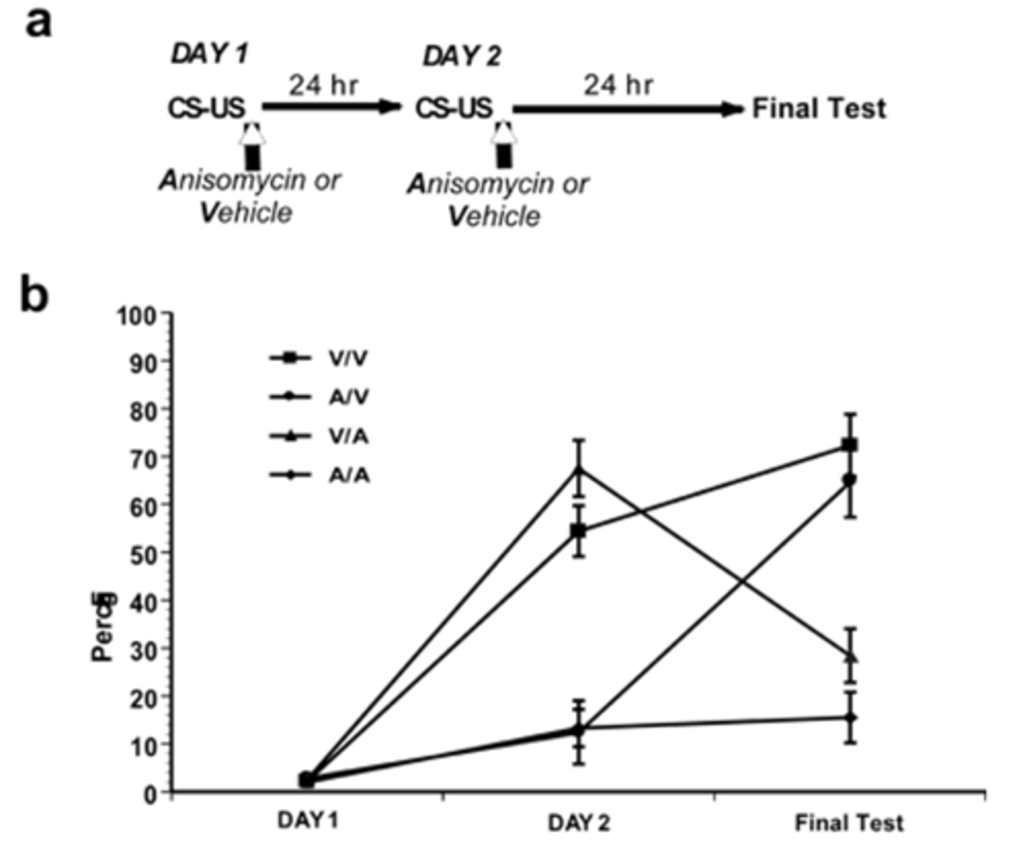 <p>subsequent performance</p><p>- <strong>day 1</strong>: encoding and retrieval, no consolidation</p><p>- <strong>day 2</strong>: if given Anisomycin on day 1: do not freeze (association was not made). if given vehicle on day 1: freeze (association was made)</p><p>- <strong>day 3:</strong> if given Anisomycin on day 2: must re-learn, even if previously given vehicle; if given vehicle on day 2: learn, even if previously given Anisomycin;</p><p>- note: testing at 4 hrs after Anisomycin on day 1 will show all rats have learned via protein-synthesis independent short-term LTP-like processes</p>