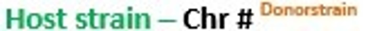 <p>Consomic strain</p>