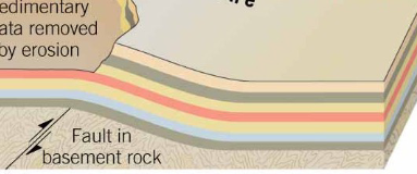 <p>just goes up, only one limb, like a <strong>ramp</strong></p>