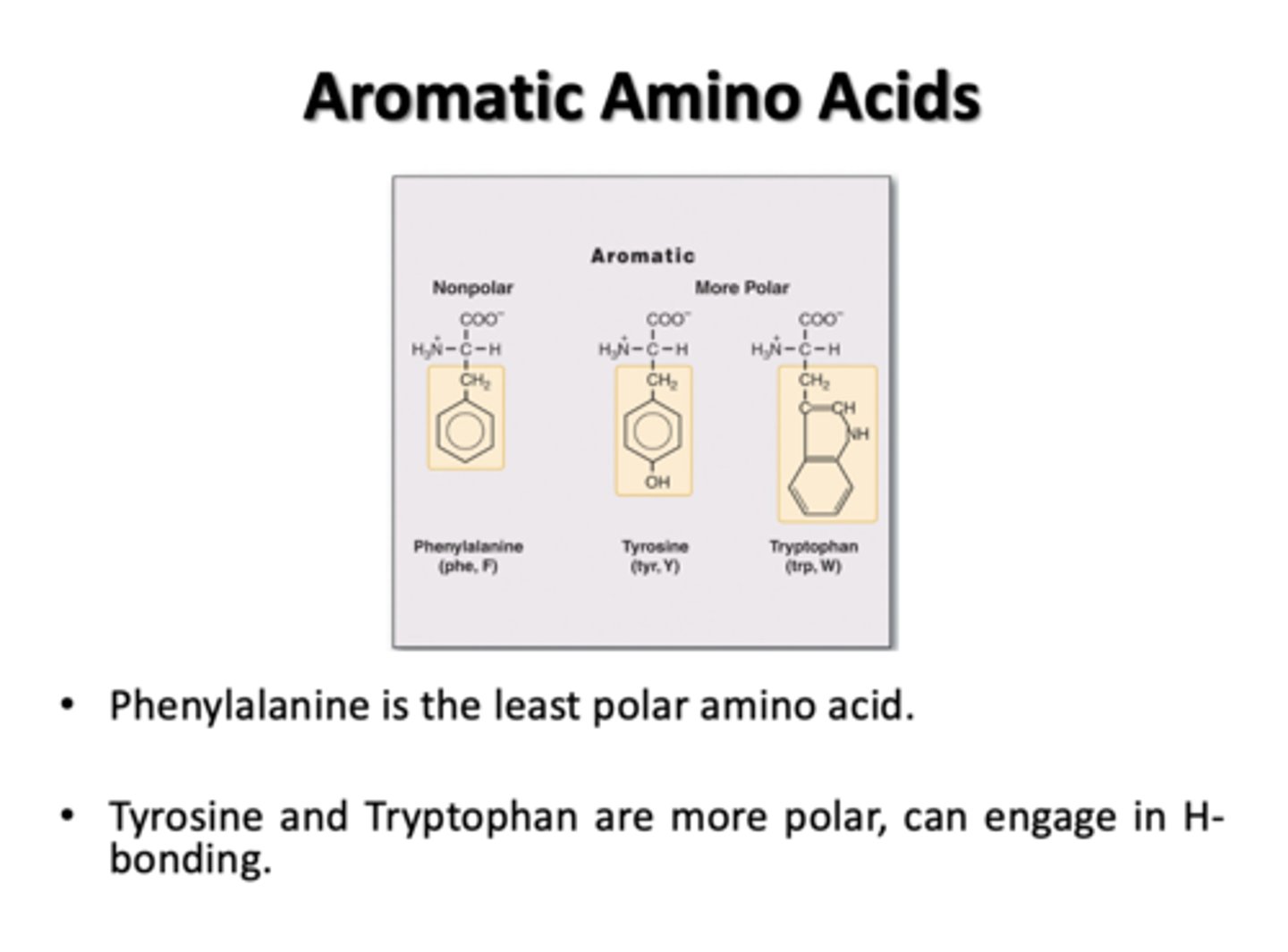 <p>Phenylalanine, Tyrosine, Tryptophan</p>