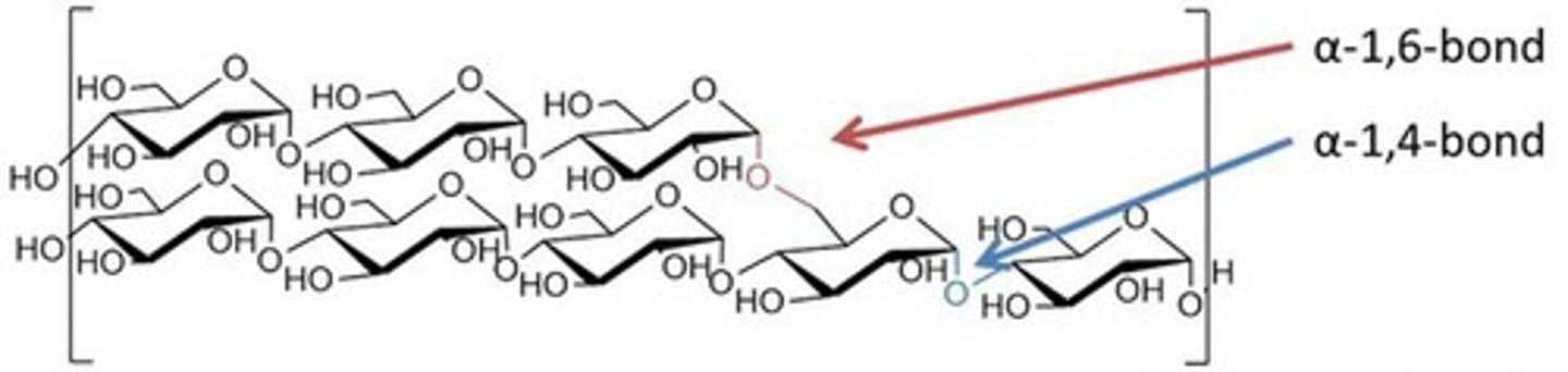 <p>The degree of hydrolysis of starch, ranging from pure starch (DE0) to pure dextrose (DE100).</p>