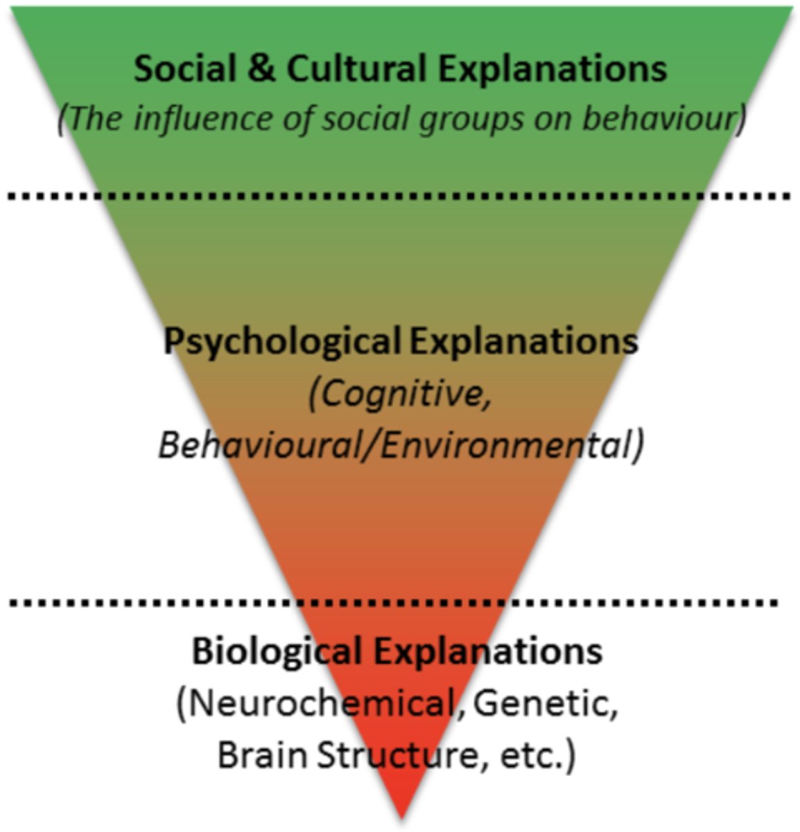 <p>The perspectives that are used to understand behaviour. The lowest level considers physiological/biological explanations, the middle level considers psychological explanations and the highest level considers sociocultural explanations.</p>