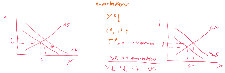 <p>Y<sup>e</sup> falls            i<sup>e </sup>&amp; r<sup>e</sup> rise           T<sup>e</sup> unchanged - exogenous</p><p>Y + p + i fall    &amp;     u rises</p>