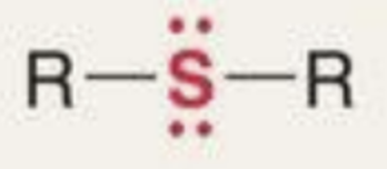 <p>What functional group is this?</p>