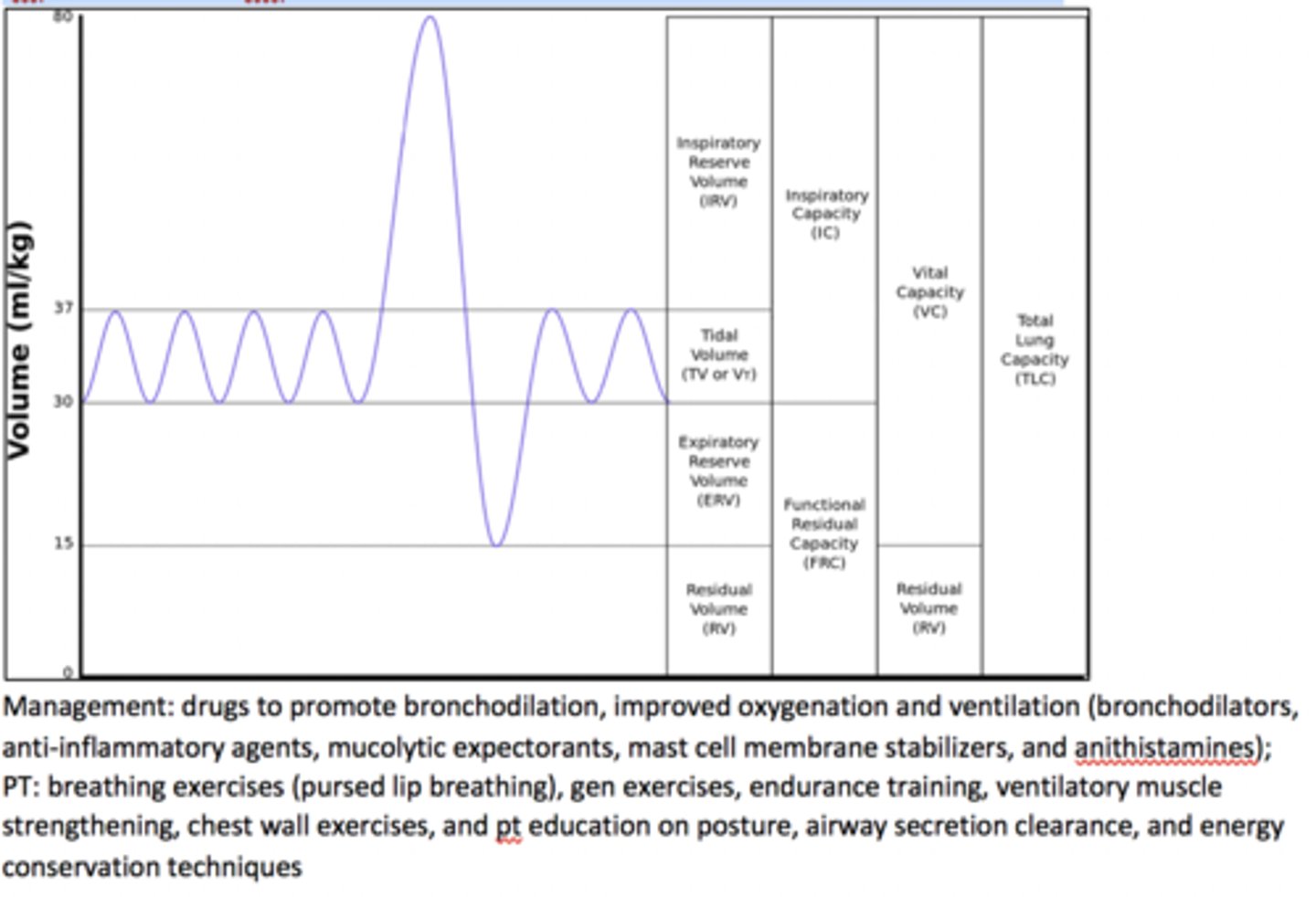 <p>Rationale</p><p>1. Patients with emphysema have normal or slightly elevated partial pressure of arterial carbon dioxide (PaCO2) (p. 88), not hypocapnia (or decreased CO2).</p><p>2. Patients who have emphysema tend to breathe with accessory muscles of respiration (p. 87), which may lead to hypertrophy, not atrophy of those muscles.</p><p>3. Emphysema is characterized by abnormal and permanent enlargement of the air spaces distal to the terminal nonrespiratory bronchioles accompanied by destructive changes of the alveolar walls (p. 86).</p><p>4. There is no involvement of the phrenic nerve in this condition.</p><p>Emphysema results from a long history of chronic bronchitis, recurrent alveolar inflammation or from genetic predisposition of a congenital alpha 1-antitrypsin deficiency; results from a non-reversible injury and destruction of elastic protein within the alveolar walls à permanent enlargement of airspaces distal to terminal bronchioles; chronic progressive disease; blebs and bullae </p><p>risk factors: chronic bronchitis, cig smoking, lower respiratory infections, genetics</p><p>S&amp;S: wheezing, persistent cough, difficulty breathing – especially with expiration, increased RR, barrel chest, rounded shoulders d/t tight pecs, pursed-lip breathing strategy</p><p>(Pg 431)Pulmonary fxn tests: impaired FEV1, VC, and FVA; increased TLC, RV, and FRC</p>