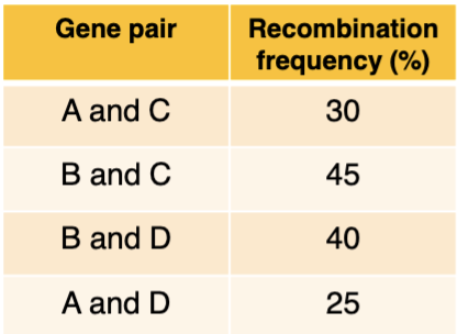 <p><span style="color: blue">Based on the data about recombination</span><span style="color: blue"><br></span><span style="color: blue">frequency, which genes are farthest apart?</span><span style="color: blue"><br></span><span style="color: blue">A. A and C</span><span style="color: blue"><br></span><span style="color: blue">B. B and C</span><span style="color: blue"><br></span><span style="color: blue">C. B and D</span><span style="color: blue"><br></span><span style="color: blue">D. A and D</span><span style="color: blue"><br></span><span style="color: blue">E. A and B</span></p>