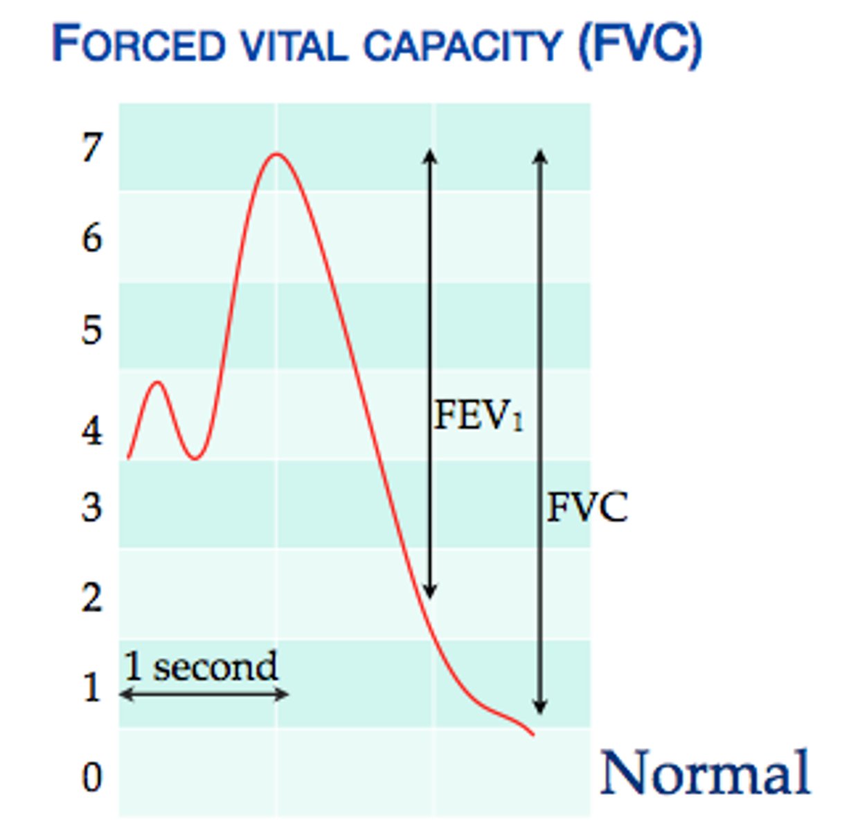 <p>amount of gas expelled during specific time intervals of FVC</p>