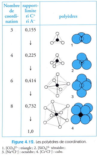 <p><span style="font-family: "Aptos Display", sans-serif;"><span>forme géométrique définie par les anions entourant un cation dans une lacune</span></span></p><p><span><span>·</span></span><span style="font-family: "Times New Roman"; line-height: normal; font-size: 7pt;"><span> </span></span><span style="font-family: "Aptos Display", sans-serif;"><span>Moins assemblage compact, plus les lacunes sont grandes, plus gros seront les cations incorporés et plus élevé le nbr de coordinence (anions voisins directs)</span></span></p><p class="MsoListParagraphCxSpLast"><span><span>·</span></span><span style="font-family: "Times New Roman"; line-height: normal; font-size: 7pt;"><span> </span></span><span style="font-family: "Aptos Display", sans-serif;"><span>Il y a des limites dans le rapport possible entre taille cation et taille anion </span></span><span><span>à</span></span><span style="font-family: "Aptos Display", sans-serif;"><span> détermine l’existence ou non d’un minéral (facteur de taille)</span></span></p>