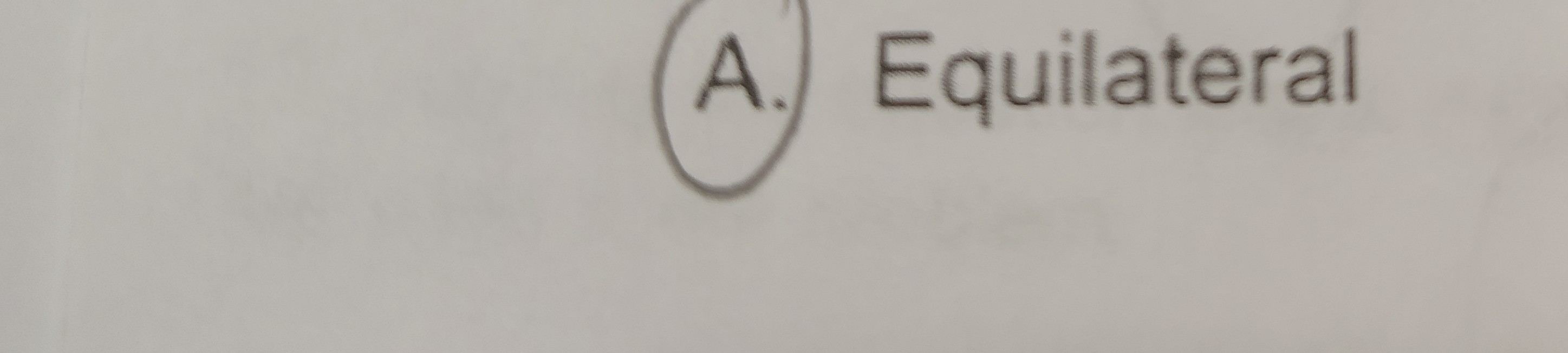 <p>Equilateral </p>