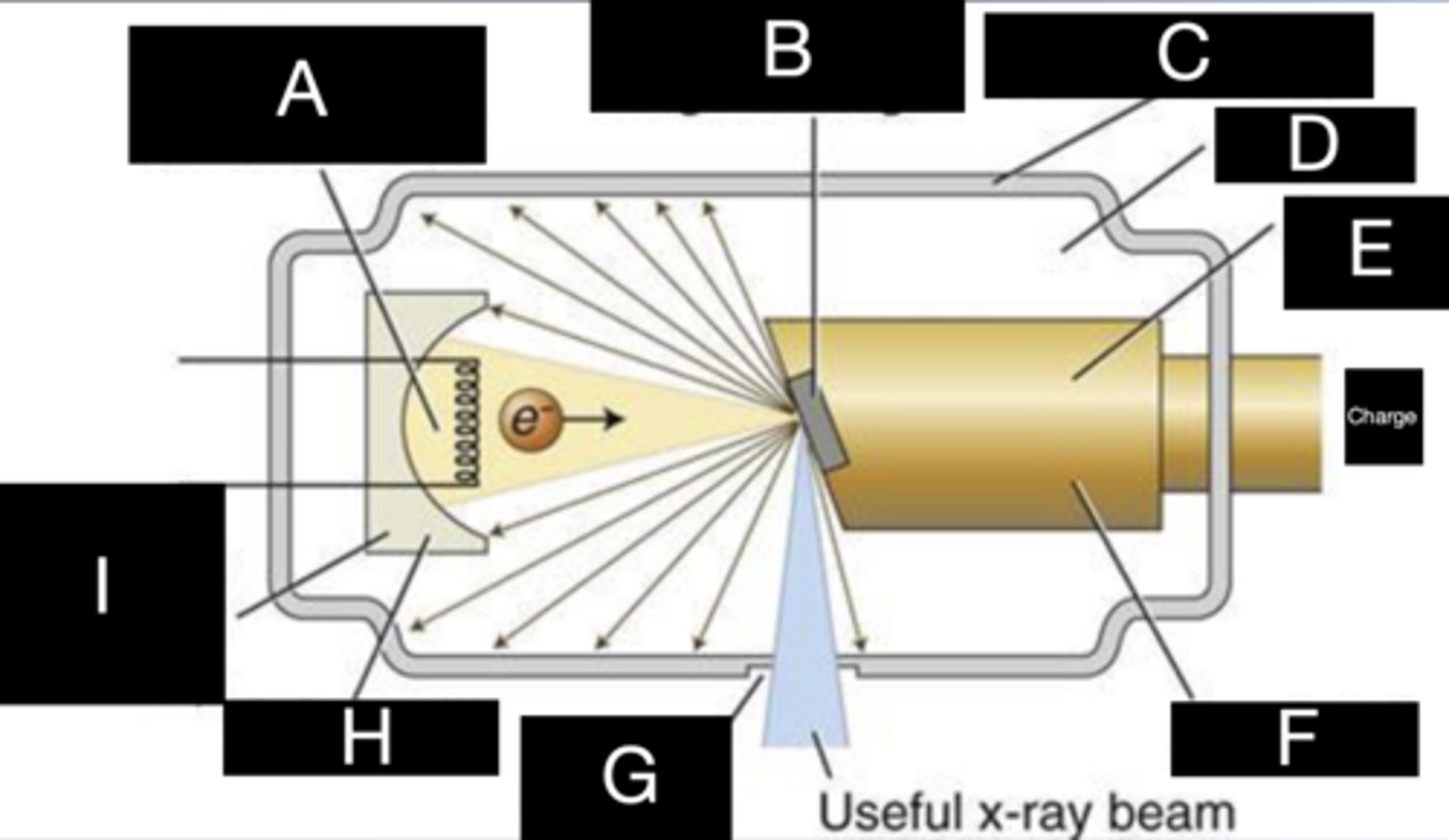 <p>What is labeled with H?</p>