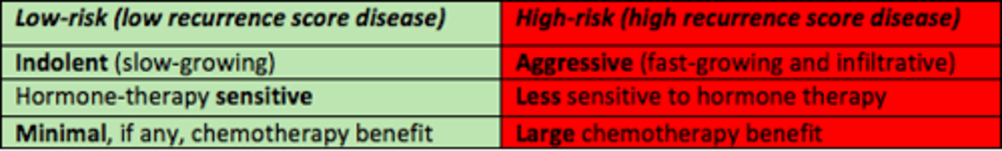 <p>- Aggressive (fast-growing)</p><p>- Less sensitive to hormone therapy</p><p>- Large chemotherapy benefit </p>