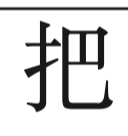 term image