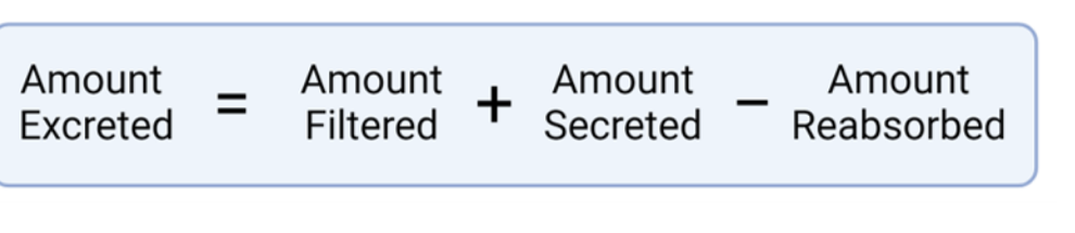 <ul><li><p>to what degree is the substance filtered </p></li><li><p>how much is  reabsorbed </p></li><li><p>how much is secreted </p></li></ul><p>different factors  affects these things </p><p></p>