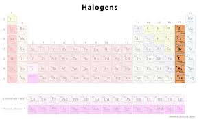 <p>group 17 </p>