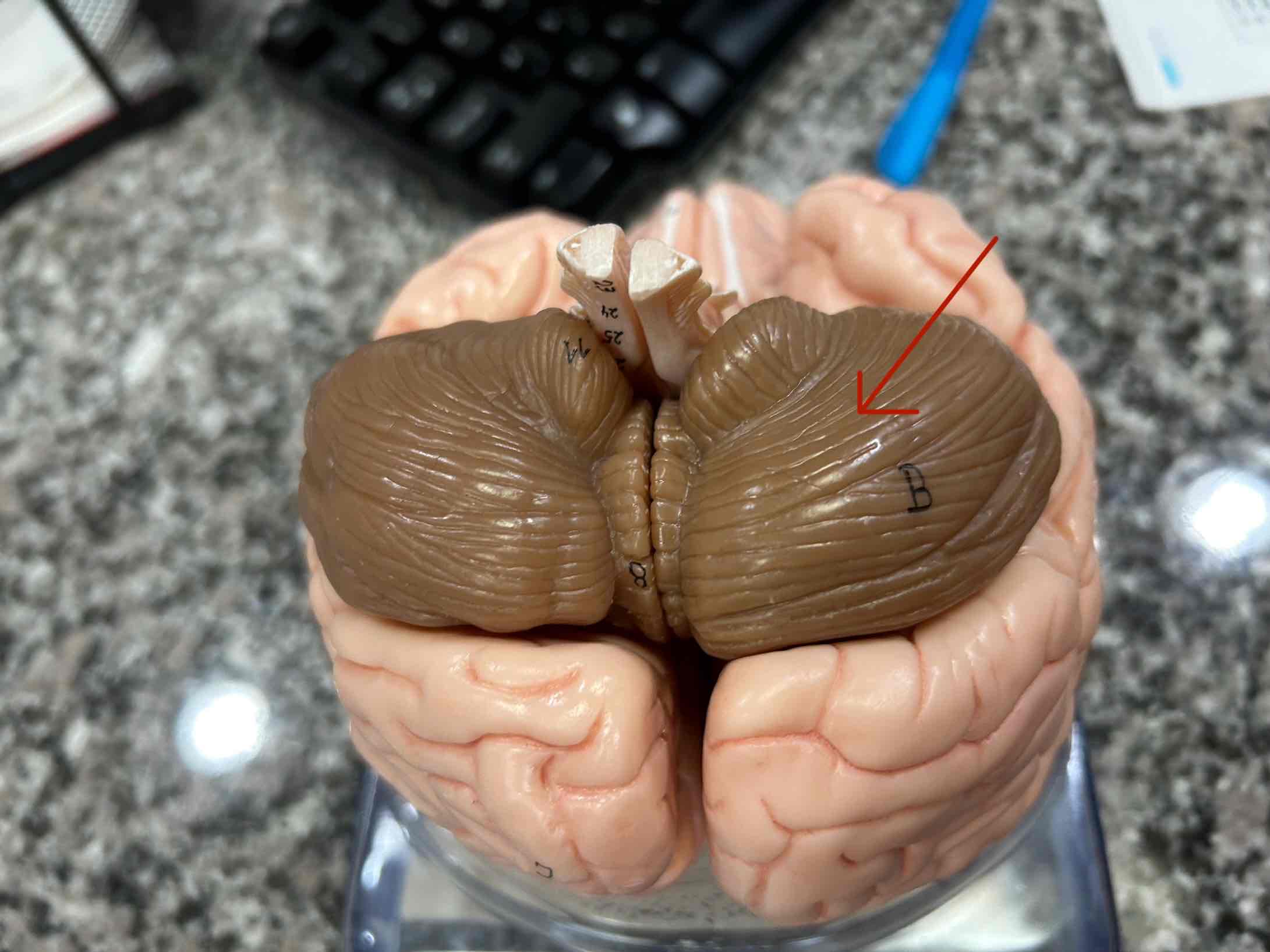 <p></p>