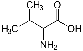 <p></p>