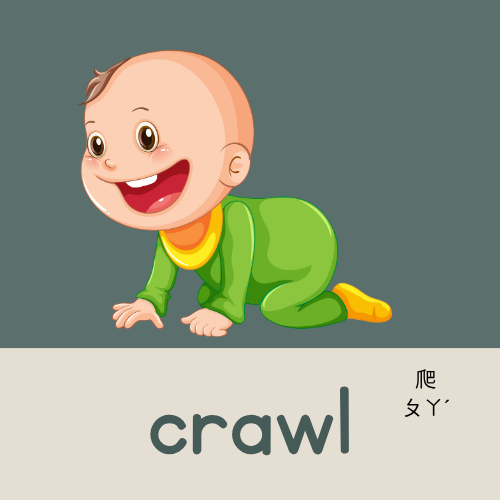 <p>crawl</p>
