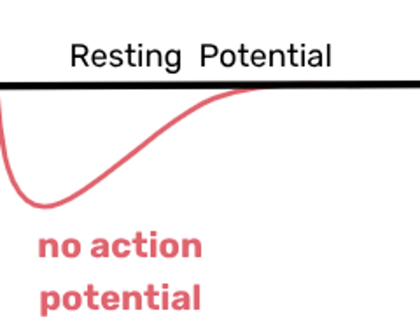 <p>-decrease the chance that the next neuron in the chain will "fire" (achieve an action potential)</p><p>-example: after an argument, inhibitory neurotransmitters, such as GABA, help you to calm down and return to a more balanced state</p>