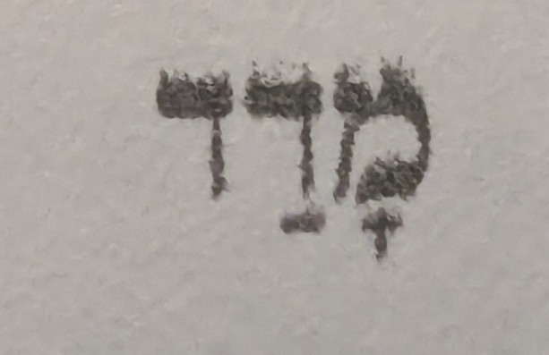 term image