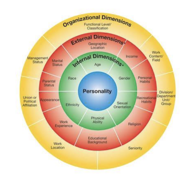 <p>-Personality is at the core, its a key source of identity</p><p>-Internal diversity (surface level characteristics) are quickly obvious to outsiders and relatively unchangeable</p><p>-External dimensions and organization dimensions (deep level characteristics) take time to emerge through attitudes, values, etc</p><p>—-</p><p>-The more peripheral, the more likely it is changeable</p><p>-many more aspects of diversity</p>