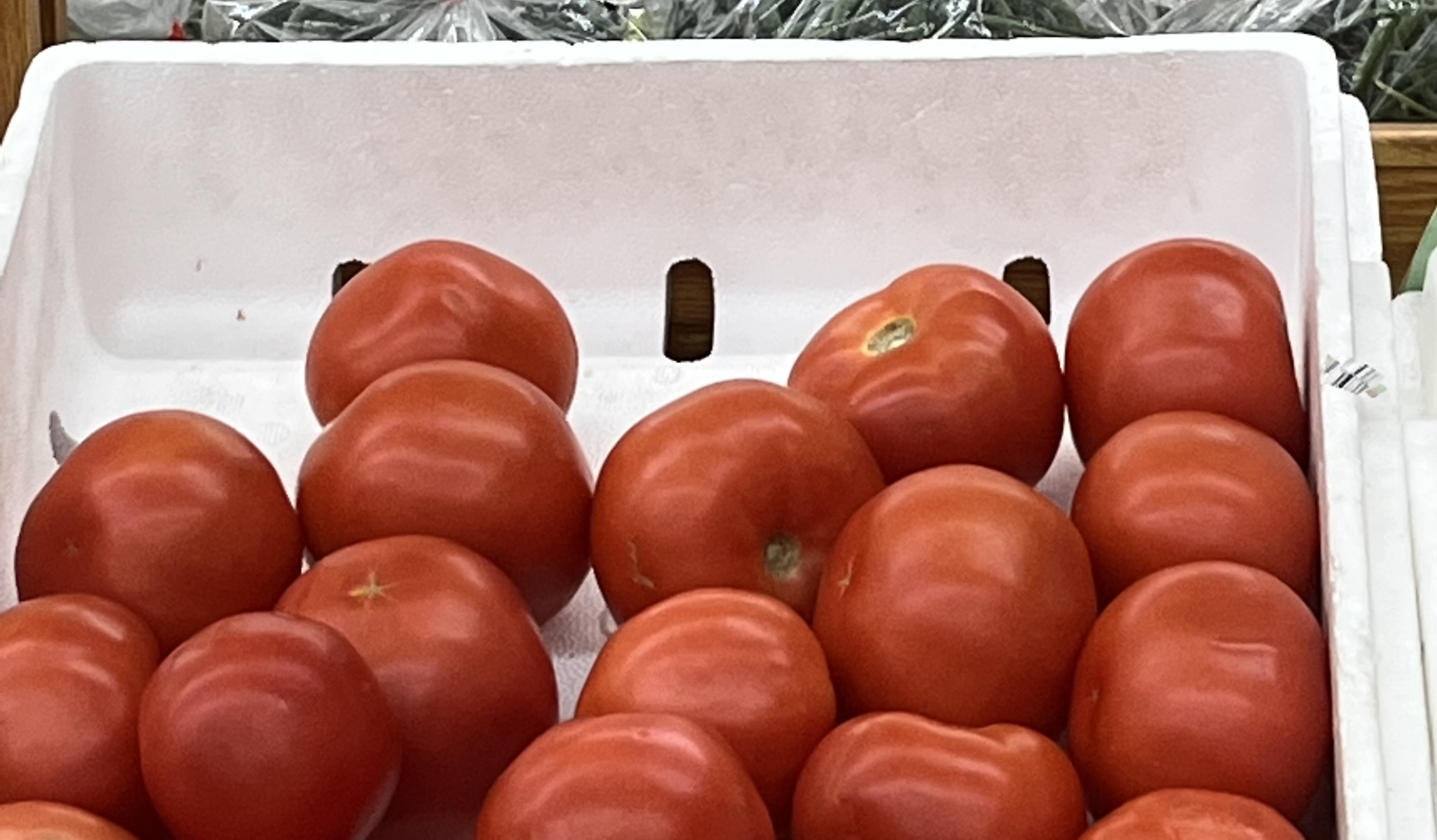 <p>Round Tomato</p>