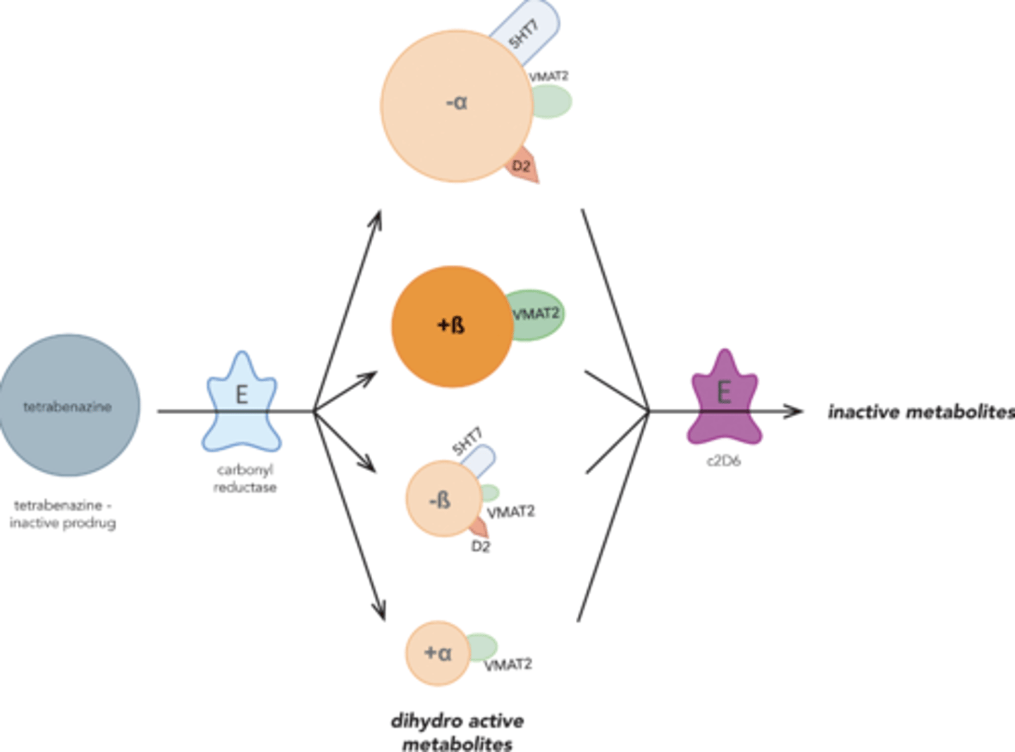<p>-All four of these are reversible inhibitors of VMAT2</p><p>-Tetrabenazine converted to 4 enantiomers via carbonyl reductase</p><p>-4 enantiomers are metabolized by 2D6</p><p>-Approved for Huntington's disease, not TD</p>