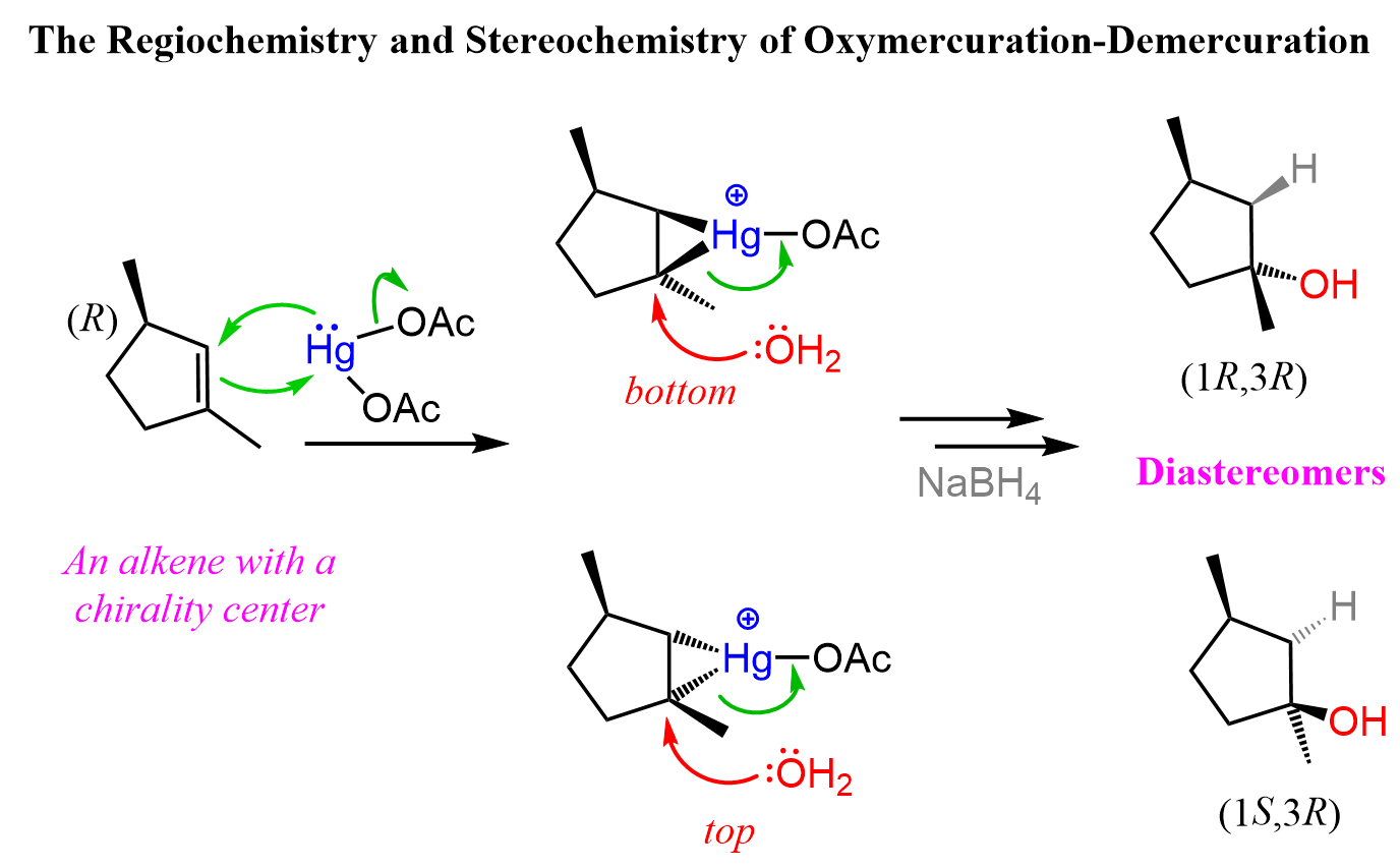 <p>1. Hg(OAc)2, H2o</p><p>2. NaBH4</p><p>What happens:</p><ul><li><p><span>a mercury acting as a reagent attacking the alkene double bond to form a </span><em>Mercurinium Ion Bridge</em><span> (weird triangle)</span></p></li><li><p><span>water molecule attacks the most substituted carbon —&gt; opens the mercurium ion bridge, dashes followed by proton transfer to solvent water molecule.</span></p></li></ul><p></p>