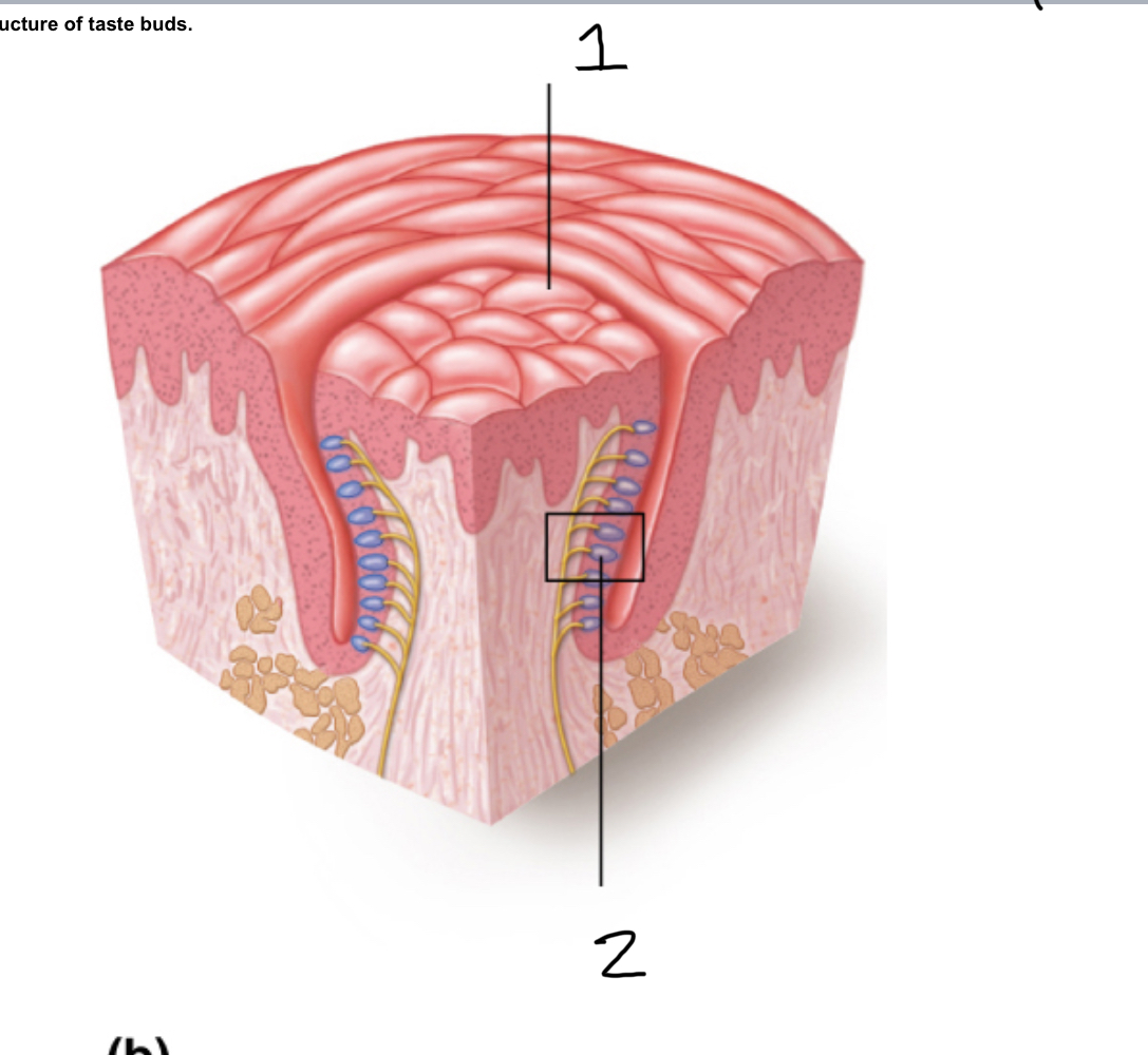 <p>2</p>
