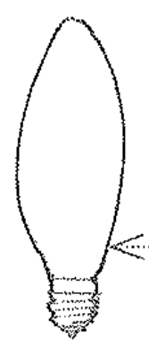 <p>Flame-shaped bulb for low-wattage, decorative incandescent lamps</p>