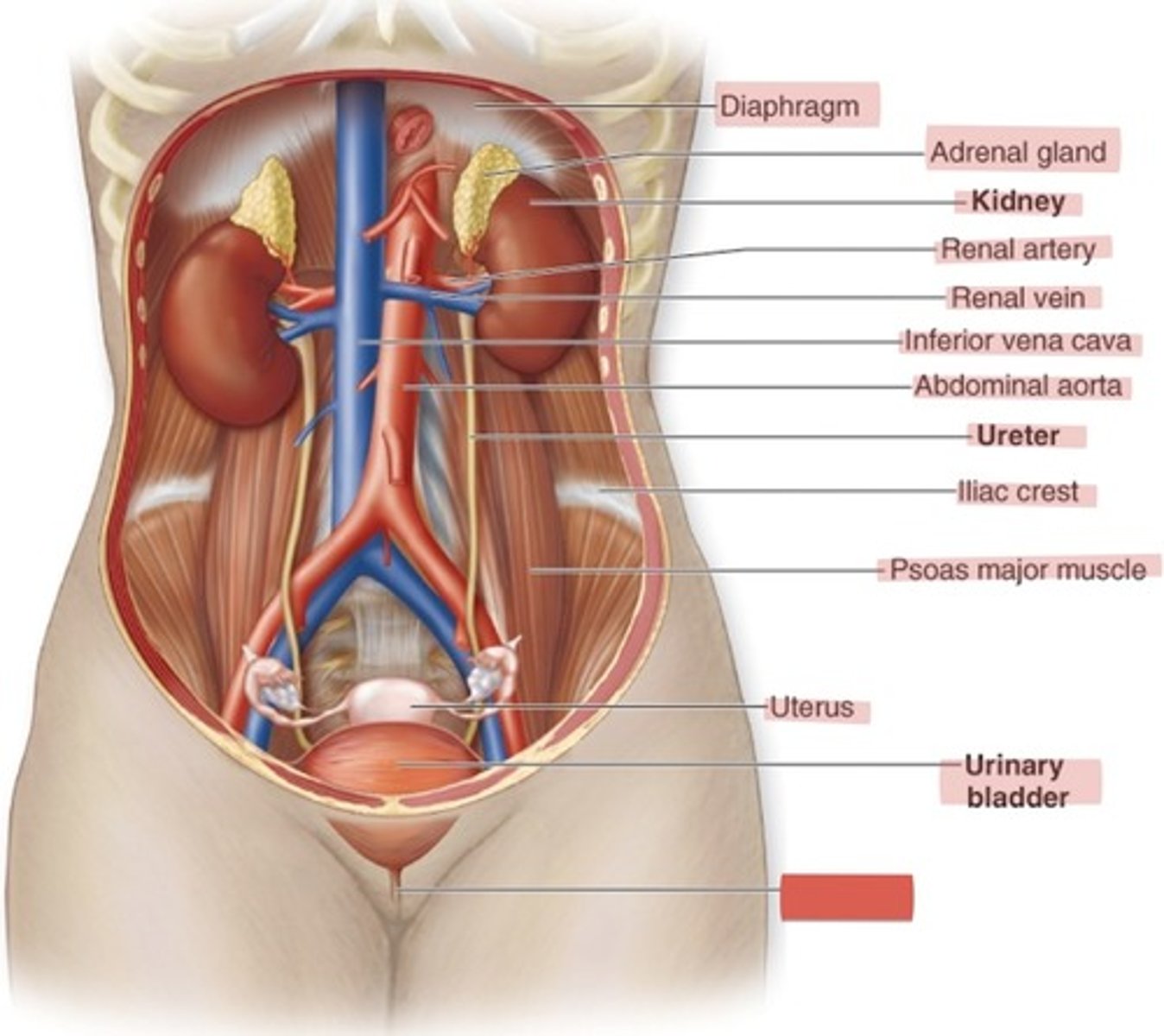 <p>What is this?</p>