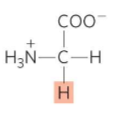 <p>What is this?</p>