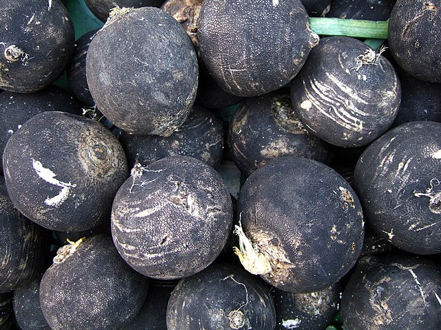 <p>crucifères/brassicacées</p>