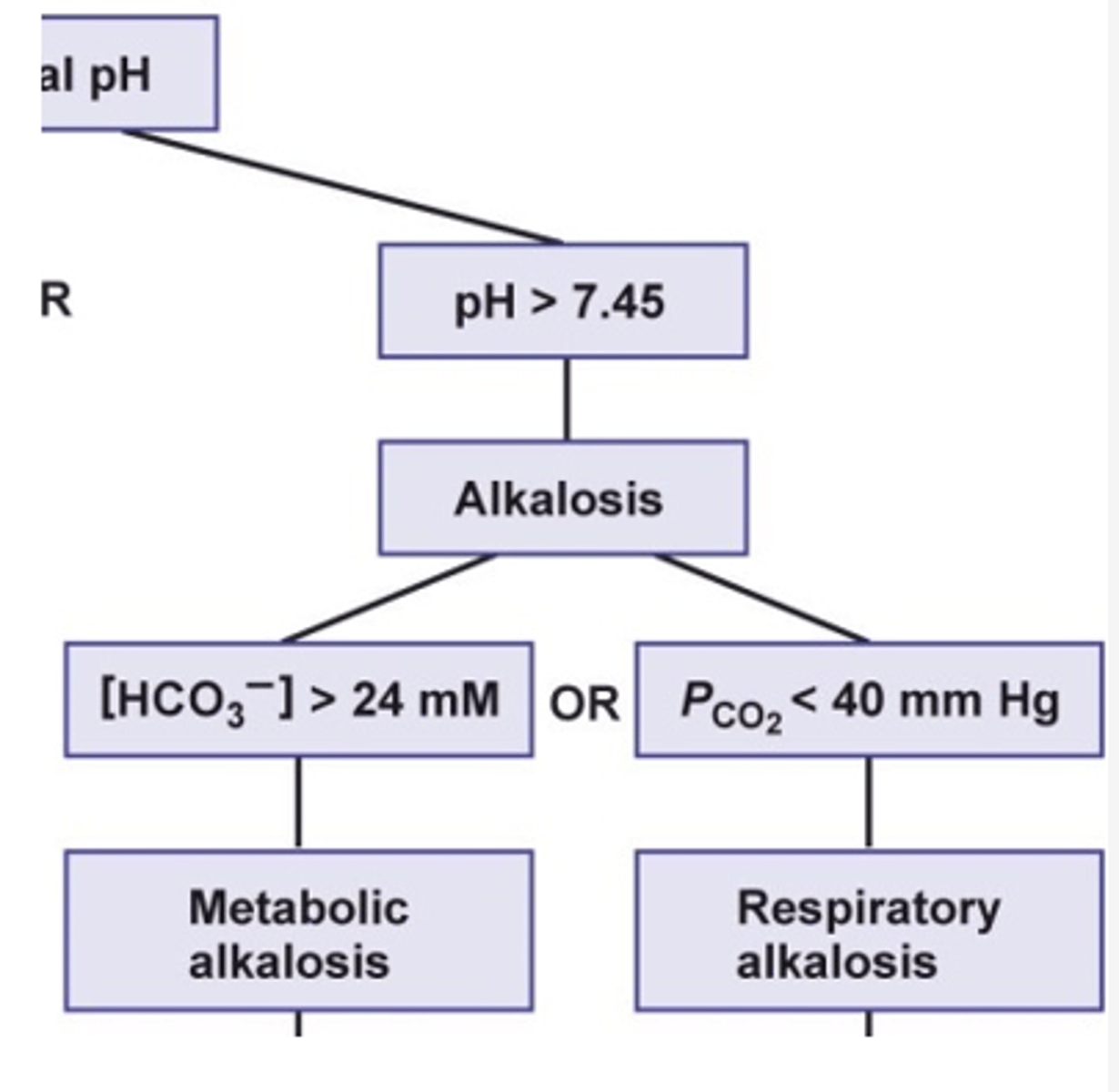 <p>- inadequate production of acids<br>- overproduction of bicarbonate<br>- loss of HCl via vomiting<br><br>- vomiting: HCl lost --&gt; net loss of H+ lost --&gt; increase pH --&gt; alkalosis</p>