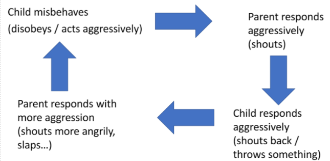 <p>If children misbehave and act aggressively, parents may respond aggressively. Rather than diffusing the situation, this causes the child to be frightened and their aggression increases. </p><p></p><p>Siblings can also be agents in these cycles</p>