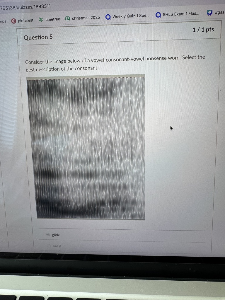 <p>Consider the image below of a vowel-consonant-vowel nonsense word. Select the best description of the consonant.</p>