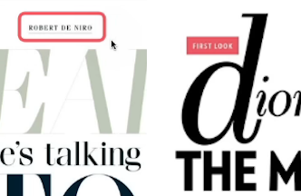 <p>The little short text above the Headline (or next to it) </p>