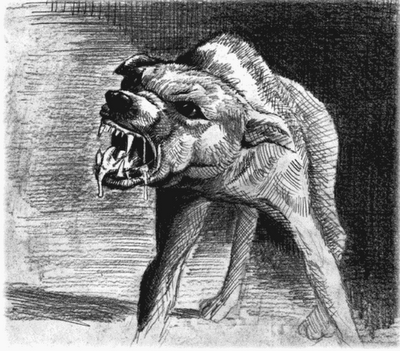 Rabies