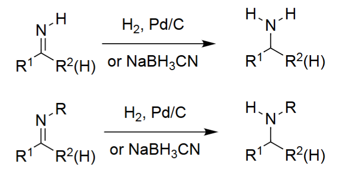 <ul><li><p>The aldehyde or ketone reacts with ammonia to form an imine intermediate.</p></li><li><p>A reducing agent (often NaBH₃CN) reduces the imine to a primary amine.</p></li><li><p>Works for both aldehydes and ketones.</p></li></ul><p></p>